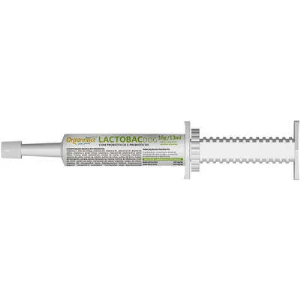 /img/produto/936a363e-909c-42c6-8426-a297380b4124_Suplemento_Lactobac_Dog_13ml.png