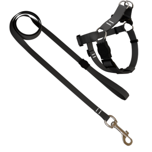 Conjunto Peitoral 8 e Guia Classic Preto M