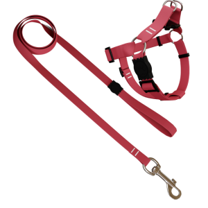 Conjunto Peitoral 8 e Guia Classic Rosa M