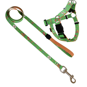 Conjunto Peitoral 8 e Guia Pop Dog M