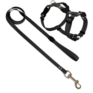 Conjunto Peitoral H e Guia Classic Preto PP